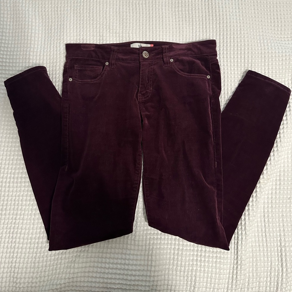 CAbi women’s maroon velvet pants